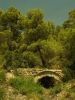 Sierra Espuna National Park 1 by barry cross