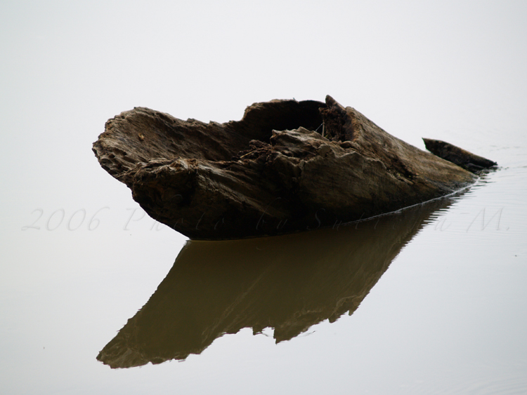 Potomac River/Great Falls, VA (2)