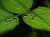 Droplets1 by syed noman