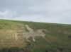The white horse, Dorset by kirsty bushell
