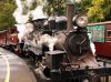 Puffing Billy by Arthur Wright