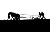 Horse drawn plough by Mike Babson