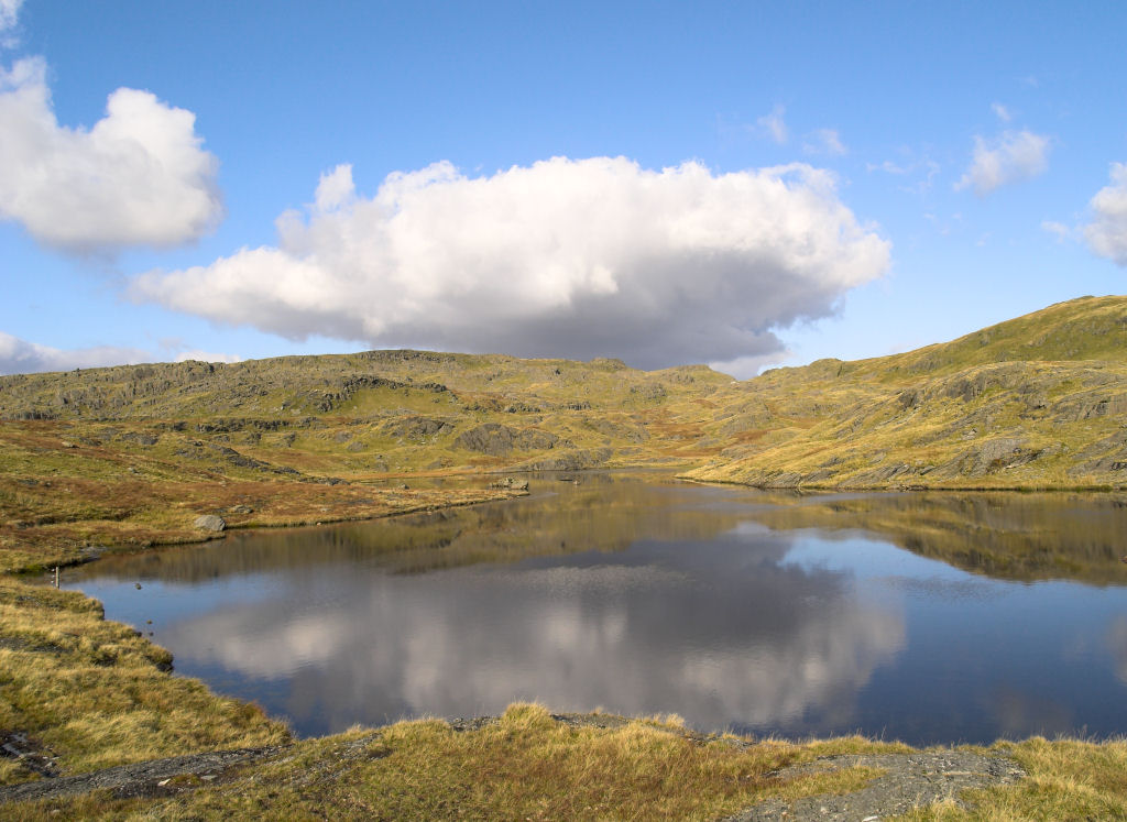 Llyn Cwm Corsiog