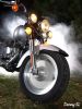 Harley2 by Denny Giacobe