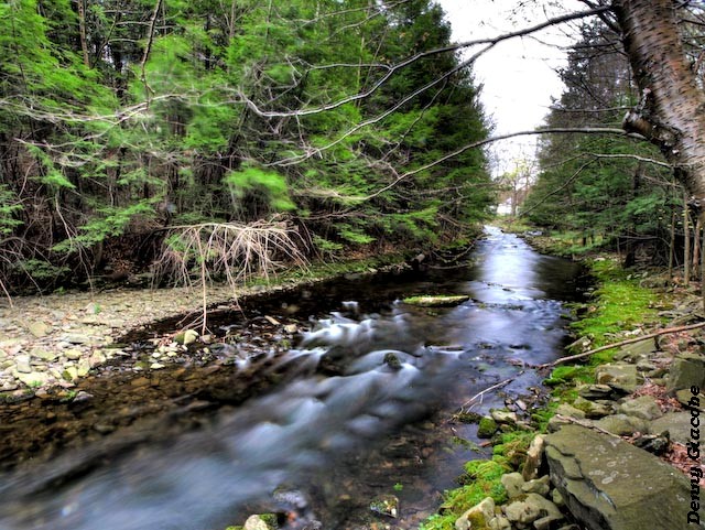 Stream (2)