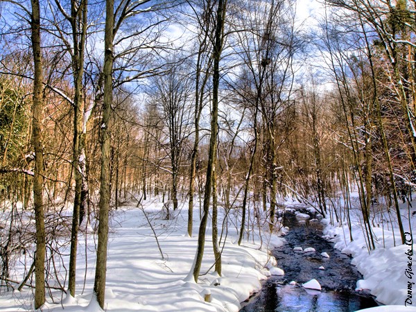 Winter Stream (2)