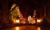 Holiday Lights by Joyce Madden