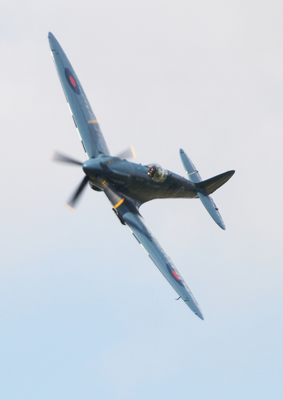 Spitfire 3