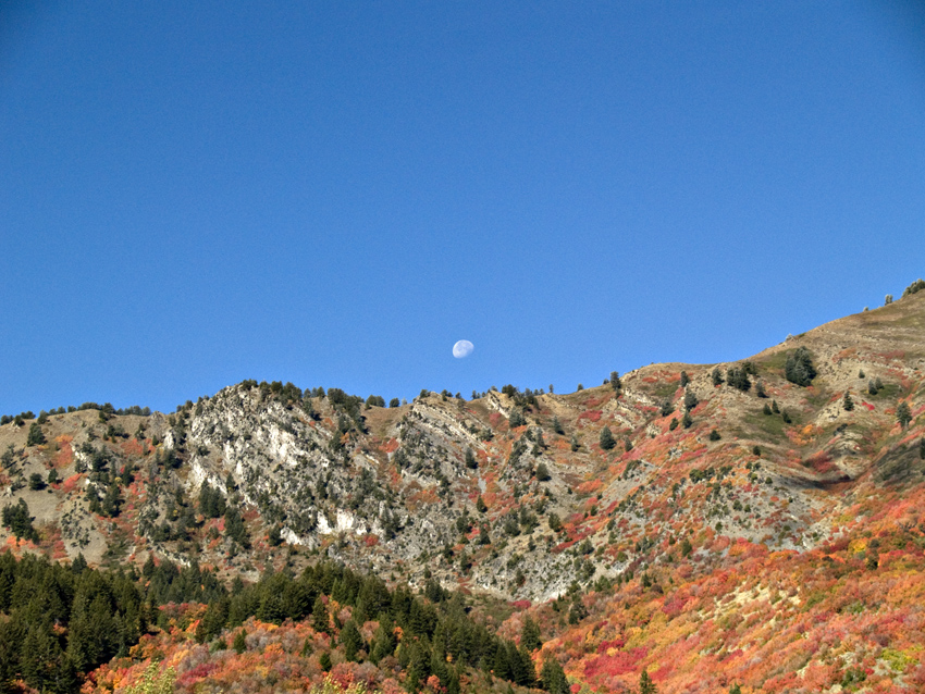 Cache Valley Moon