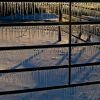 Ice Shadow by Mary Hammel