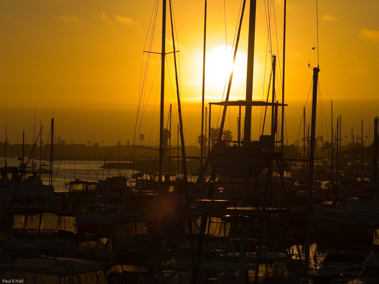 Mission Bay Sunset 2007