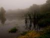 Foggy Pond by Gillian Simpson
