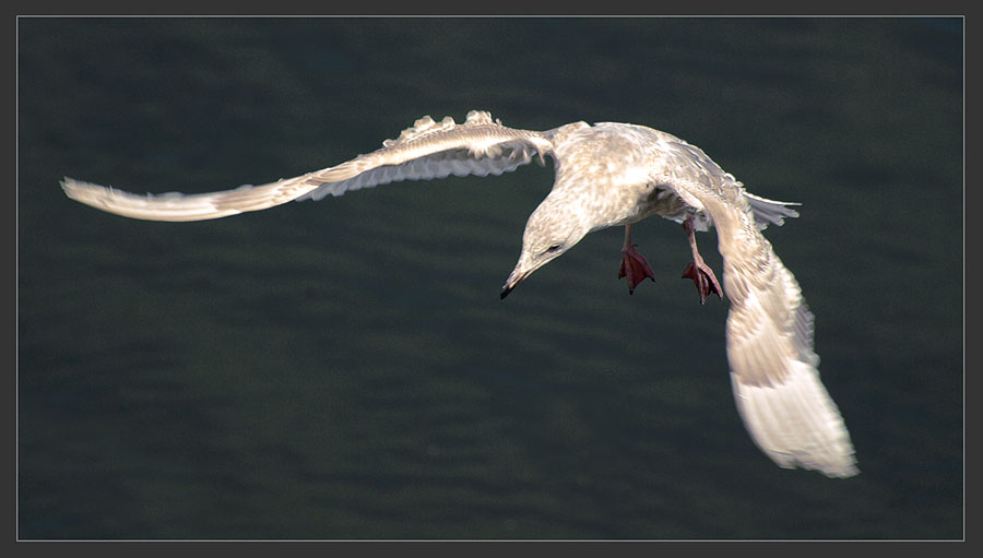 Gear down...Flaps set