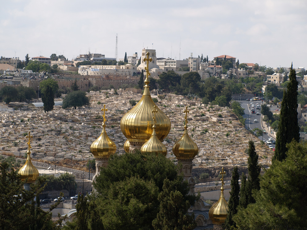 golden turets looking at the city