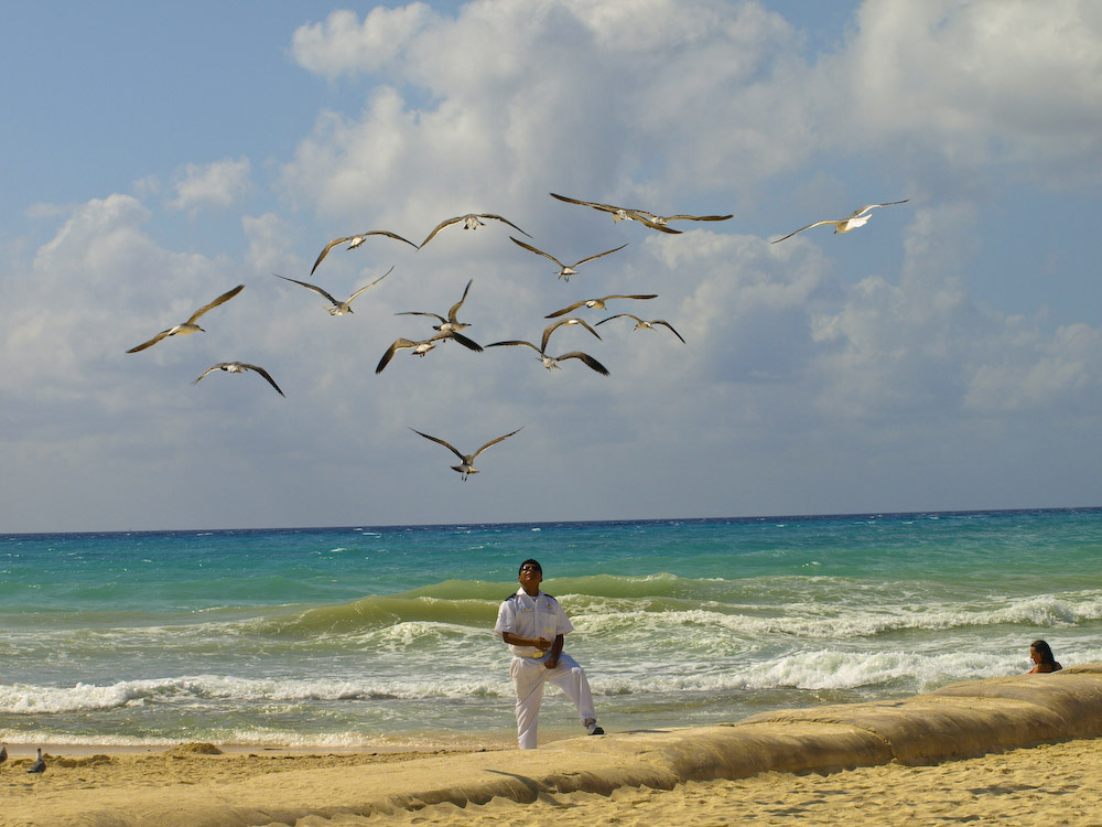 Security guard with Gulls