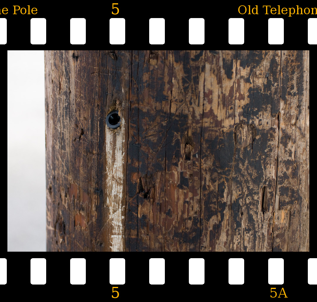 Old Telephone Pole