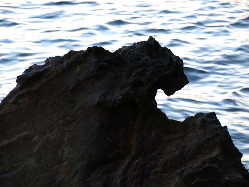 Cat-shaped rock