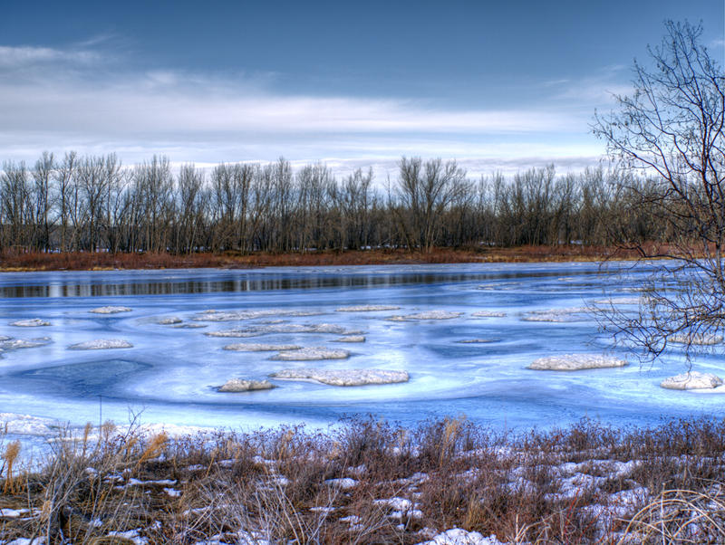 Saskatchewan River Winter Tones