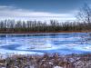 Saskatchewan River Winter Tones by Neil Macleod