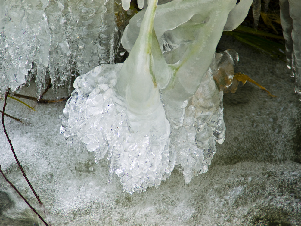 Ice Crystals (2)