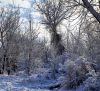 Winter wonder land by Neil Macleod