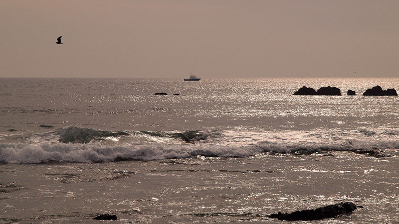 Laguna Beach Waves