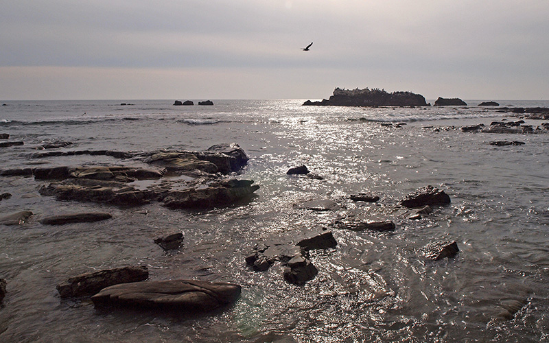 Laguna Beach Rocks