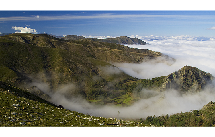 Fog In The Montain