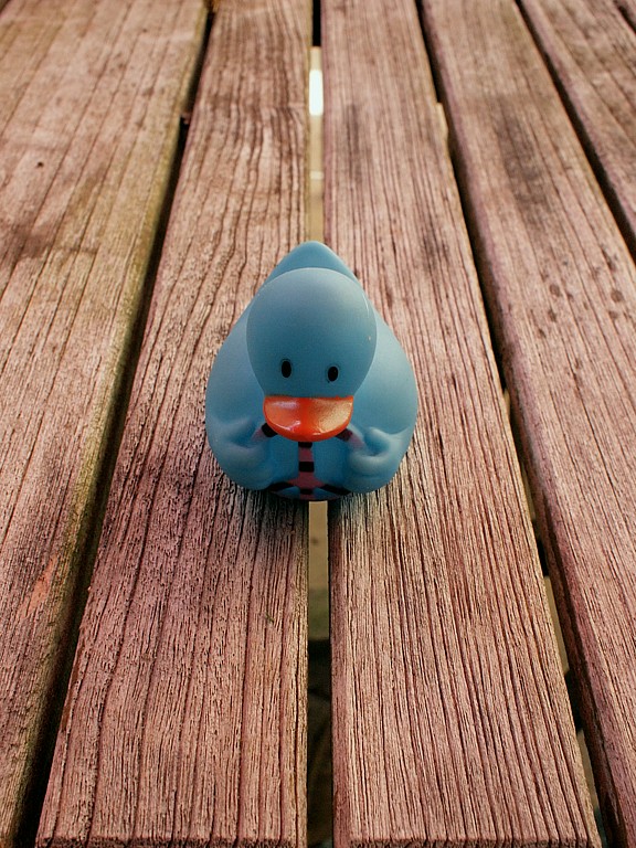 Blue Duckie