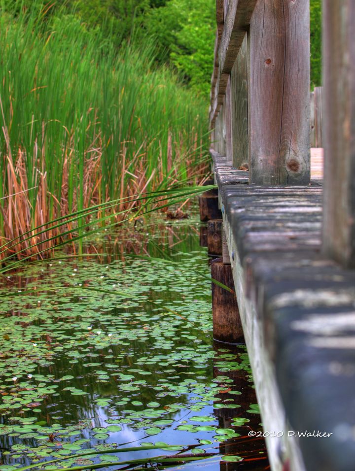 Under the Boardwalk