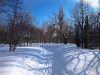 winter park by Gennady Protsenko