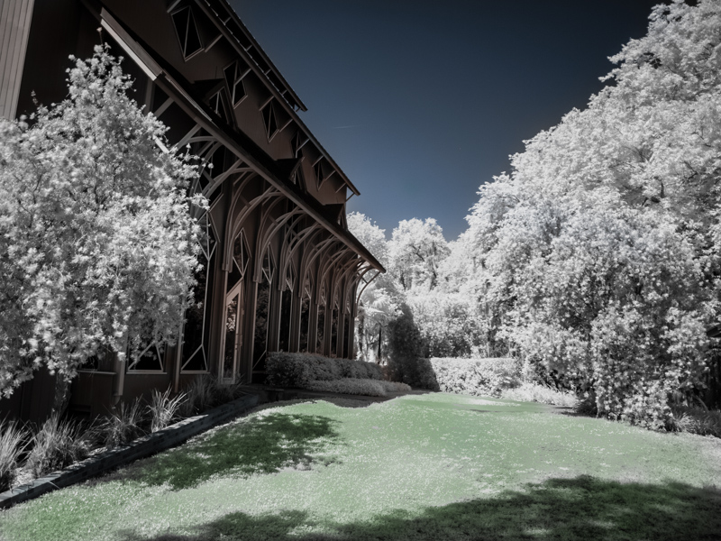 Lake Alice Infrared 1