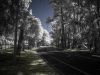 Lake Alice Infrared 2 by paul missall