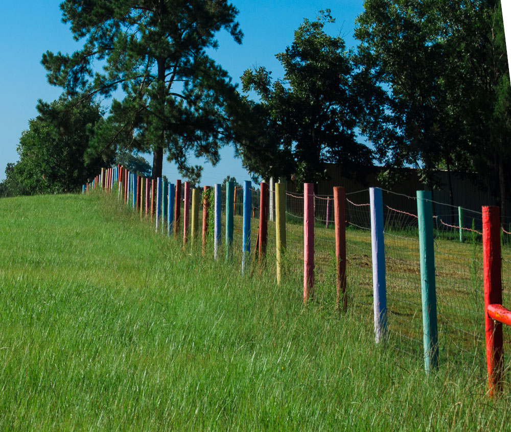 Newton's Fence