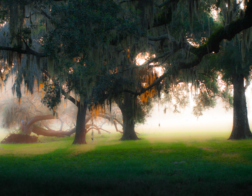 Sinrise on a Pasture-2