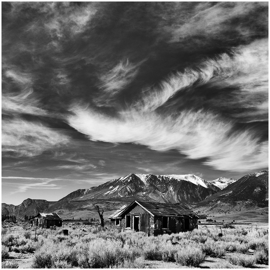 Barns in the wilderness