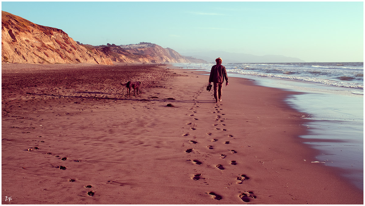 The man and his dog